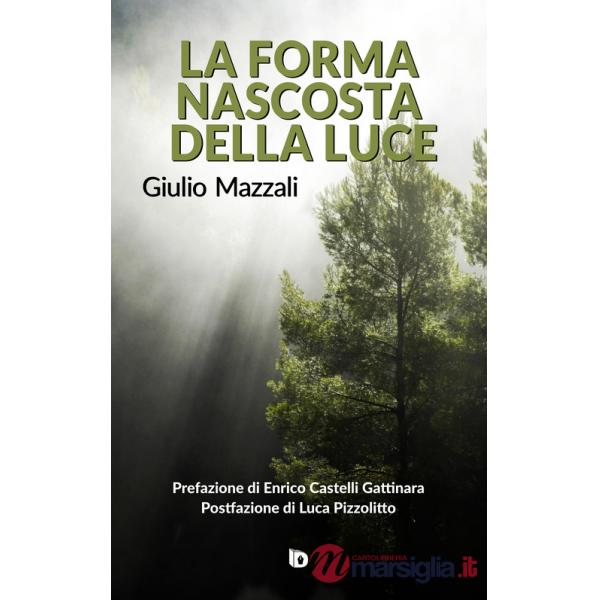 Forma nascosta della luce (La)