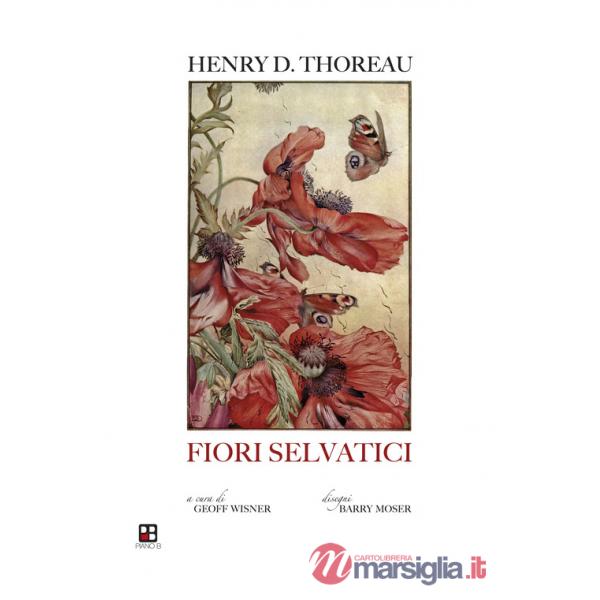 Fiori selvatici: escursioni botaniche e contemplazioni della natura