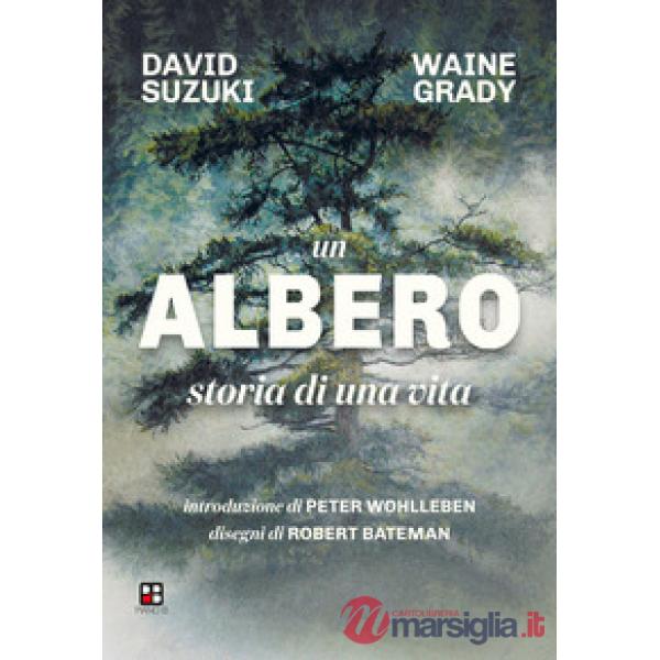 Albero. Storia di una vita. Ediz. illustrata (Un)