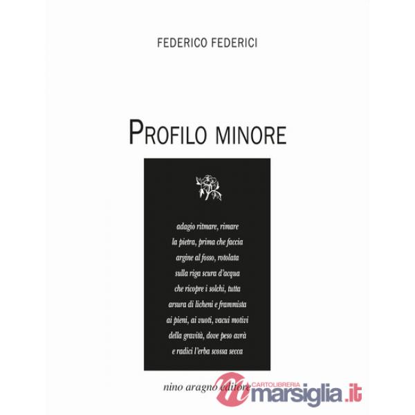 Profilo minore