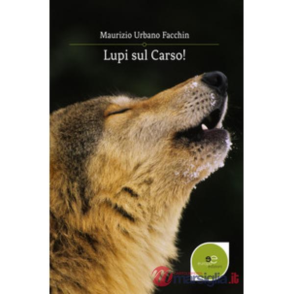Lupi sul Carso!