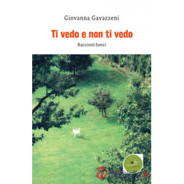 Ti vedo e non ti vedo