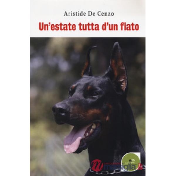 Estate tutta d'un fiato (Un')