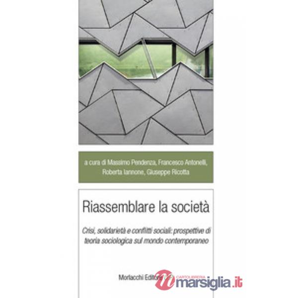Riassemblare la società. Crisi, solidarietà e conflitti sociali: prospettive di teoria sociologica sul mondo contemporaneo