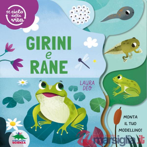 Girini e rane. Il ciclo della vita. Ediz. a colori