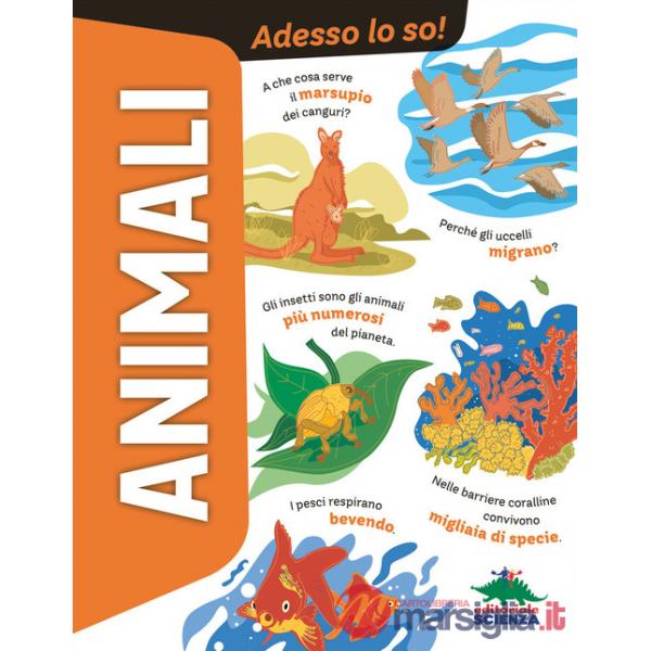 Animali. Adesso lo so!
