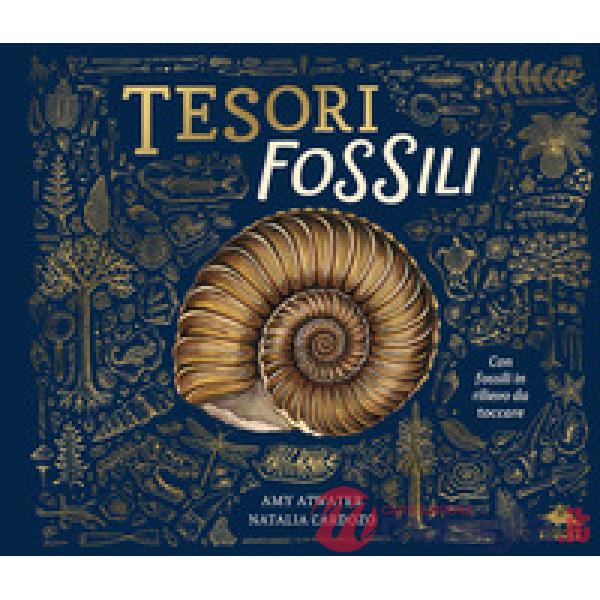 Tesori fossili. Ediz. a colori