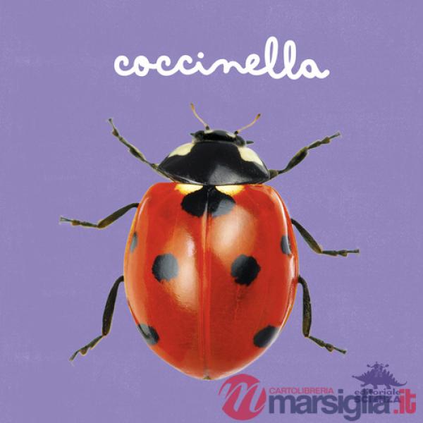 Coccinella. Ediz. a colori