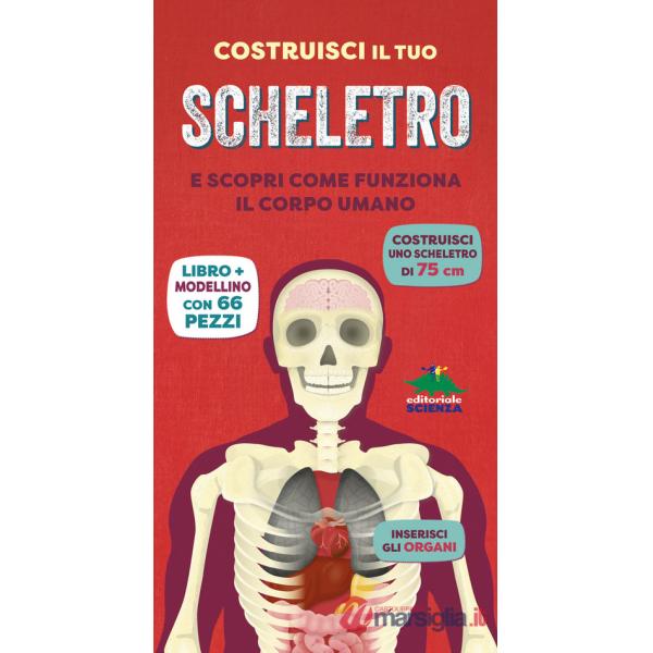Costruisci il tuo scheletro e scopri come funziona il corpo umano. Ediz. a colori. Con modellino da costruire