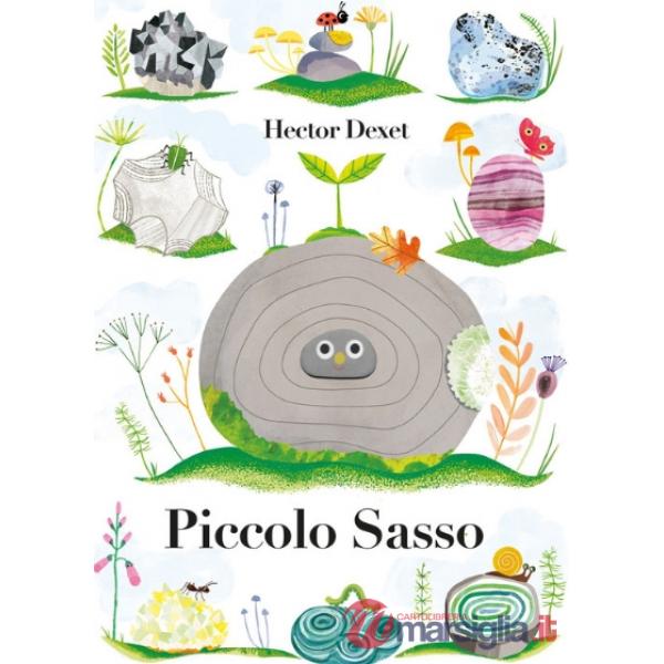 Piccolo sasso. Ediz. a colori