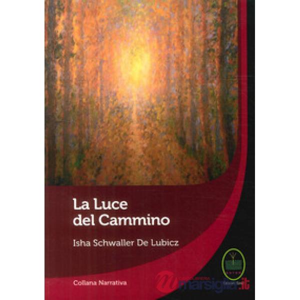 Luce del cammino (La)