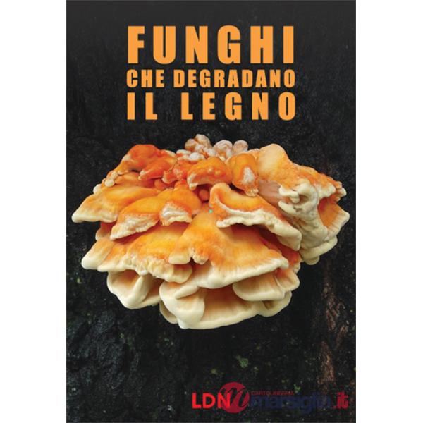 Funghi che degradano il legno. Dinamiche di azione e conseguenze per gli alberi in ambiente forestale e urbano