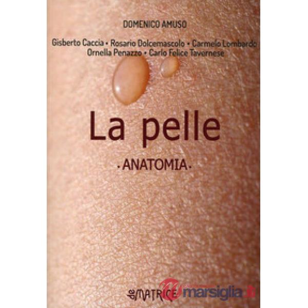 Pelle. Anatomia (La)
