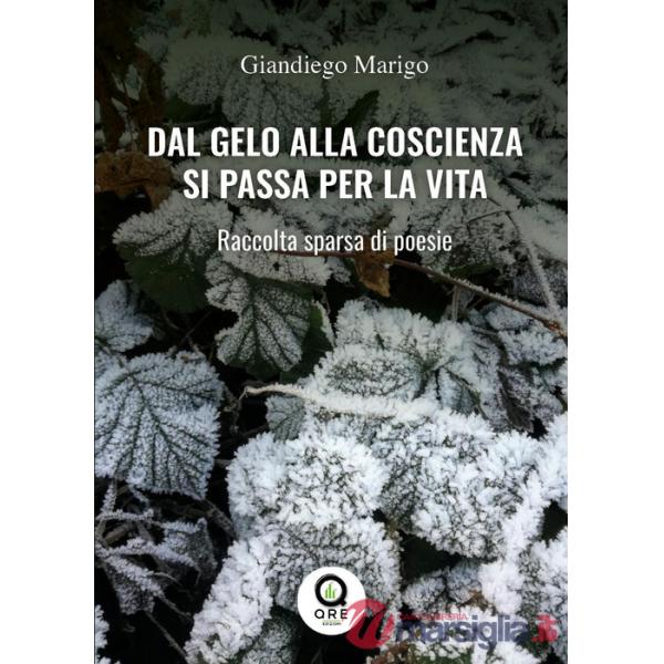Dal gelo alla coscienza si passa per la vita. raccolta sparsa di poesie