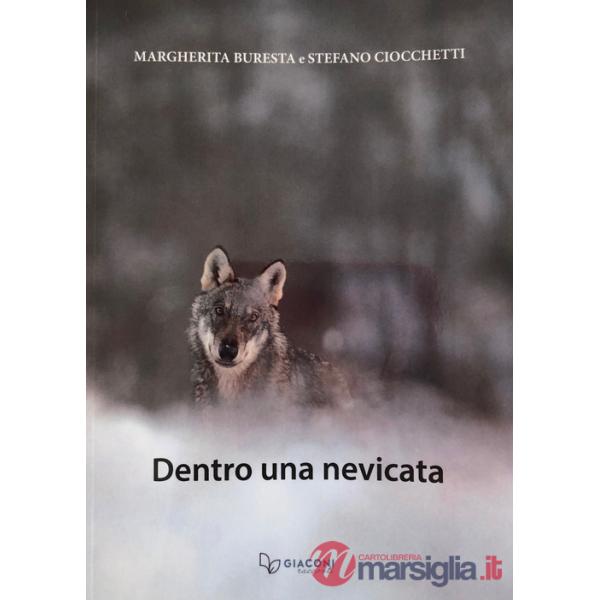 Dentro una nevicata. Ediz. illustrata