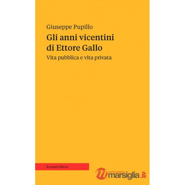 Anni vicentini di Ettore Gallo. Vita pubblica e vita privata (Gli)