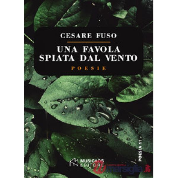 Favola spiata dal vento (Una)