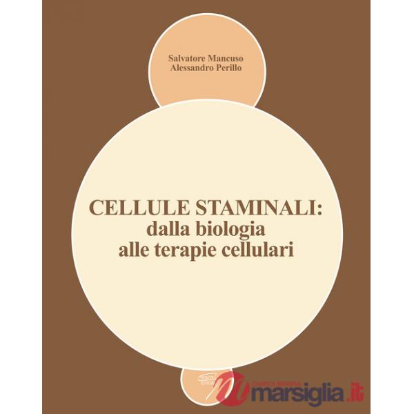 Cellule staminali: dalla biologia alle terapie cellulari