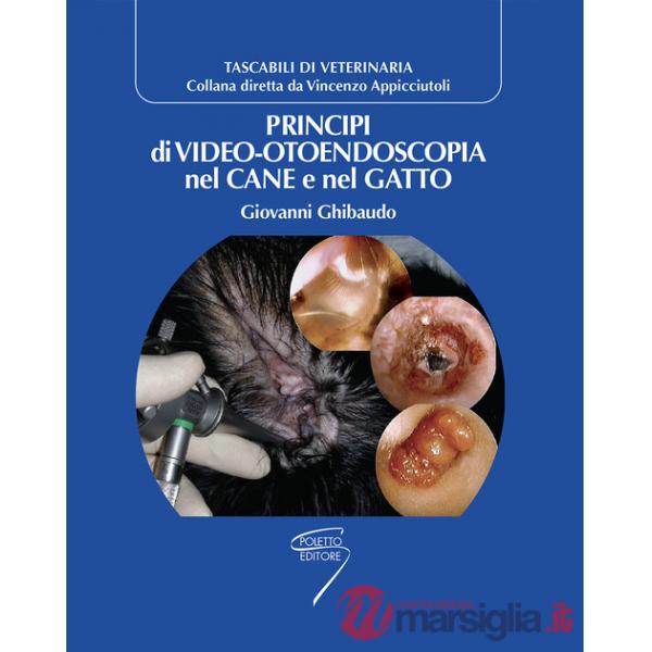Principi di video-otoendoscopia nel cane e nel gatto