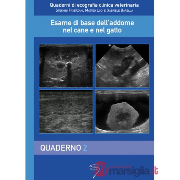 Esame di base dell'addome nel cane e nel gatto. Con Contenuto digitale per download e accesso online. Vol. 2: Quaderno