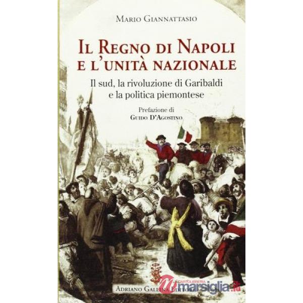 Il regno di Napoli e l'unità nazionale. Il Sud, la rivoluzione di Garibaldi e la politica piemontese