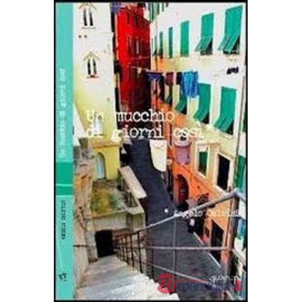 Mucchio di giorni così (Un)