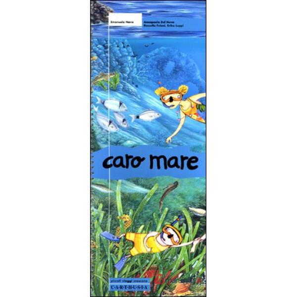 Caro mare. Ediz. illustrata