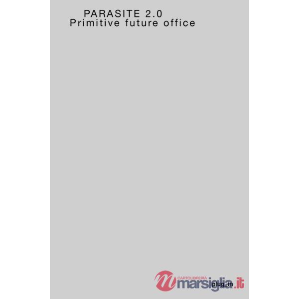 Primitive future office