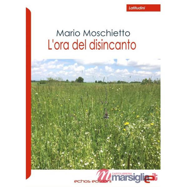 Ora del disincanto (L')