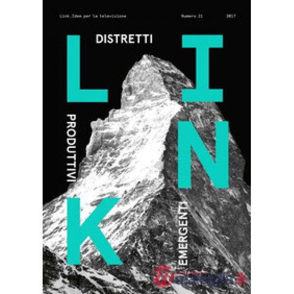 Link. Idee per la televisione (2017). Vol. 21: Distretti produttivi emergenti