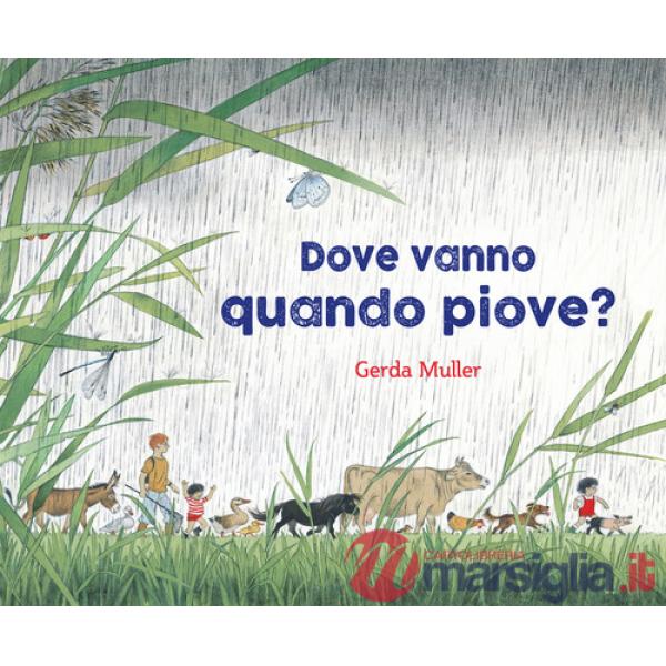 Dove vanno quando piove? Ediz. illustrata