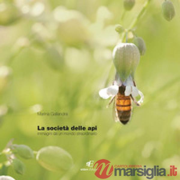 Società delle api. Immagini di un mondo staordinario. Ediz. italiana e inglese (