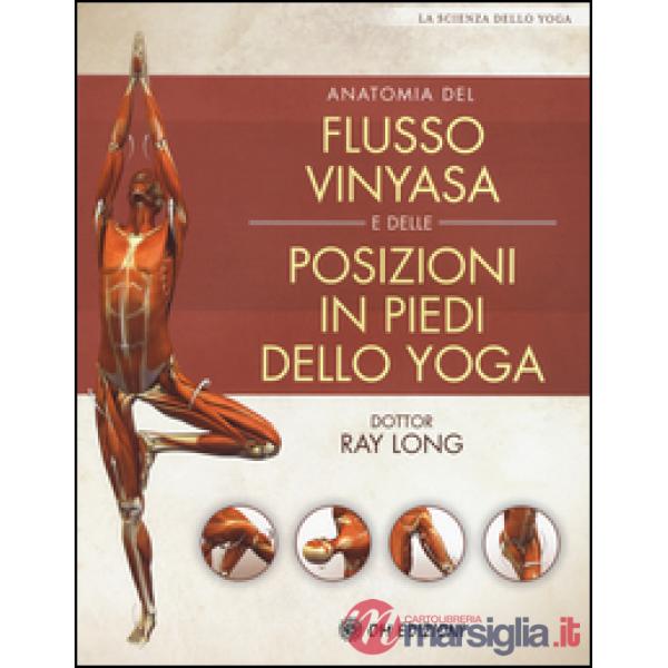 Anatomia del flusso vinyasa e delle posizioni in piedi dello yoga