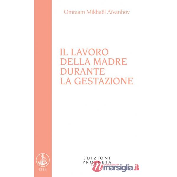 Lavoro della madre durante la gestazione (Il)