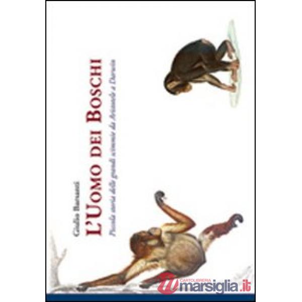 Uomo dei boschi. Piccola storia delle grandi scimmie da Aristotele a Darwin (L')