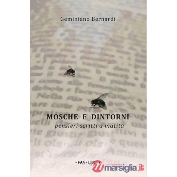 Mosche e dintorni. Pensieri scritti a matita