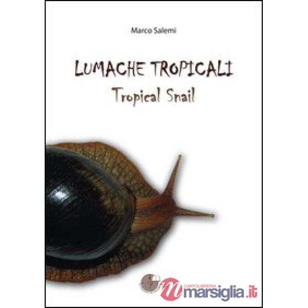 Lumache tropicali. Tropical snail