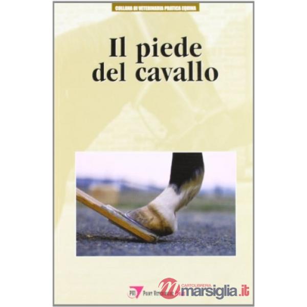 Piede del cavallo (Il)