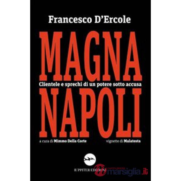 Magnanapoli. Clientele di un potere sotto accusa