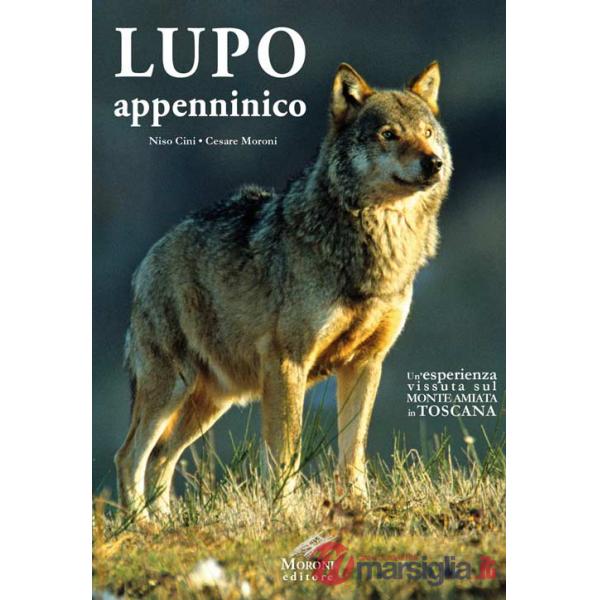 Lupo appenninico. Un'esperienza vissuta sul Monte Amiata in Toscana