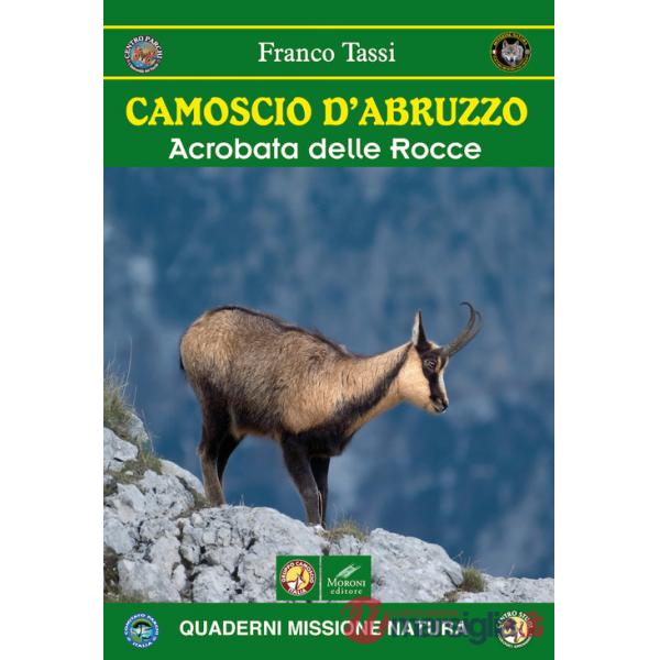 Camoscio d'Abruzzo. Acrobata delle rocce
