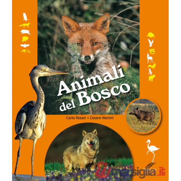 Animali del bosco