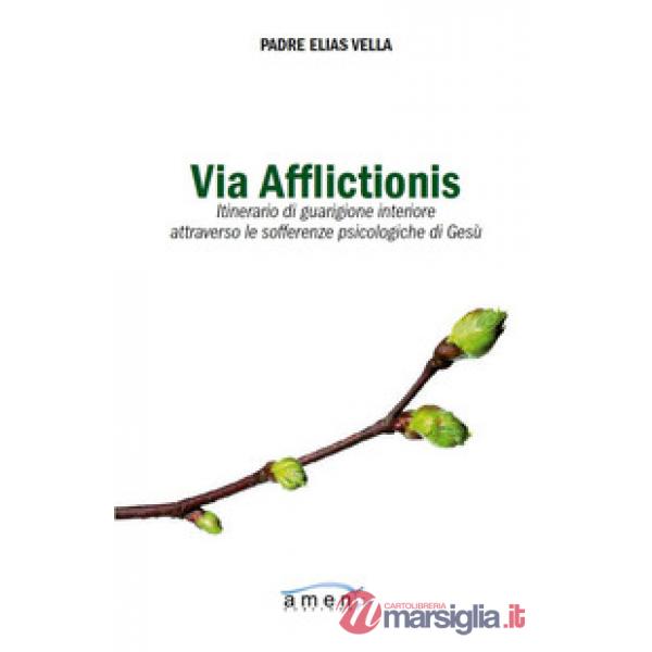 Via afflictionis. Itinerario di guarigione interiore attraverso le sofferenze ps
