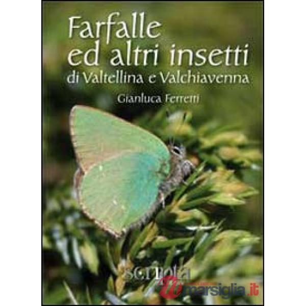 Farfalle e altri insetti di Valtellina e Valchiavenna