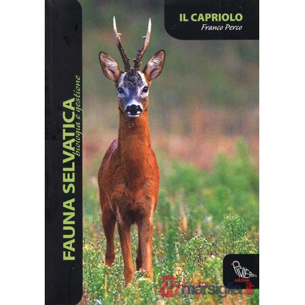 Capriolo (Il)