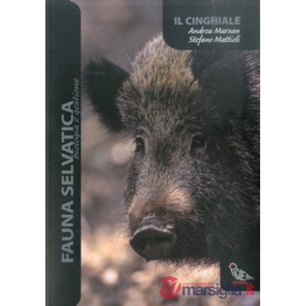 Cinghiale (Il)