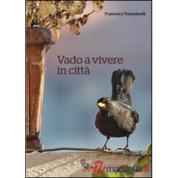 Vado a vivere in città