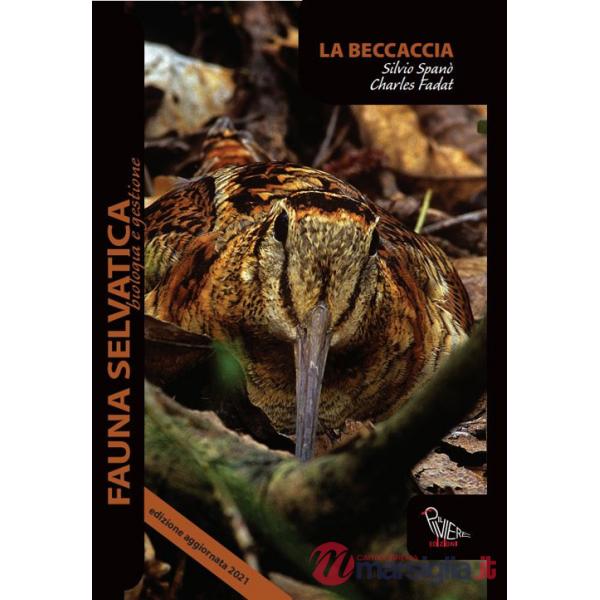 Beccaccia (La)