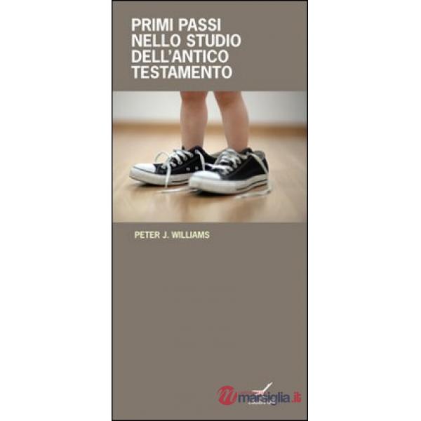 Primi passi nello studio dell'Antico Testamento