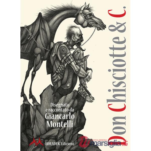 Don Chisciotte & C.. Ediz. a colori